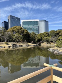 Фото отзыва 2: экскурсия "Обзорная экскурсия по знаковым местам яркого Токио"