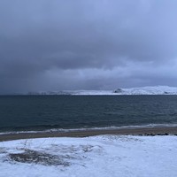 Фото отзыва 1: экскурсия "Природа Заполярья и встреча с китами — это Териберка!"