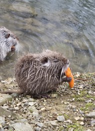 Фото отзыва 2: экскурсия "Природные жемчужины Сочи"