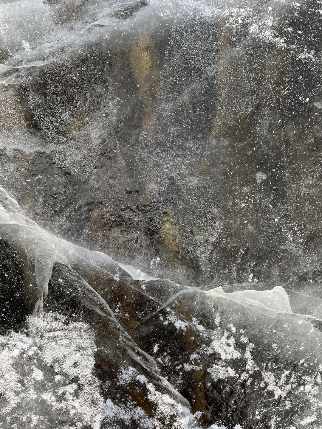 Зимняя Ладога на аэролодке (Екатерина)