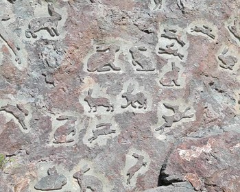 Водопад Кивач, Дом шунгита, Долина Зайцев, гора Сампо