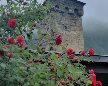 Знакомство со Сванетией