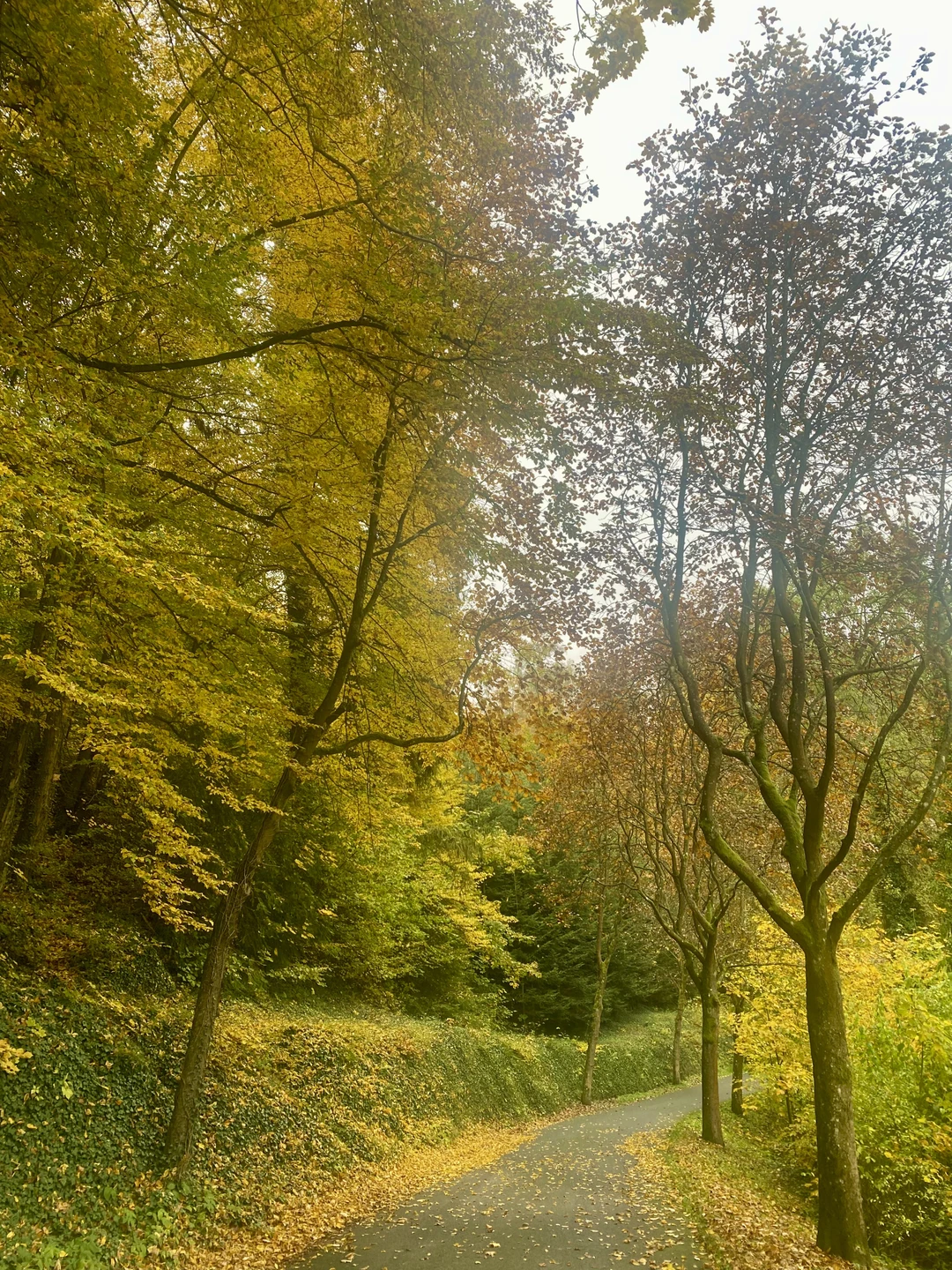 Из Праги - в Кутну-Гору: сокровища королевства (Анна)