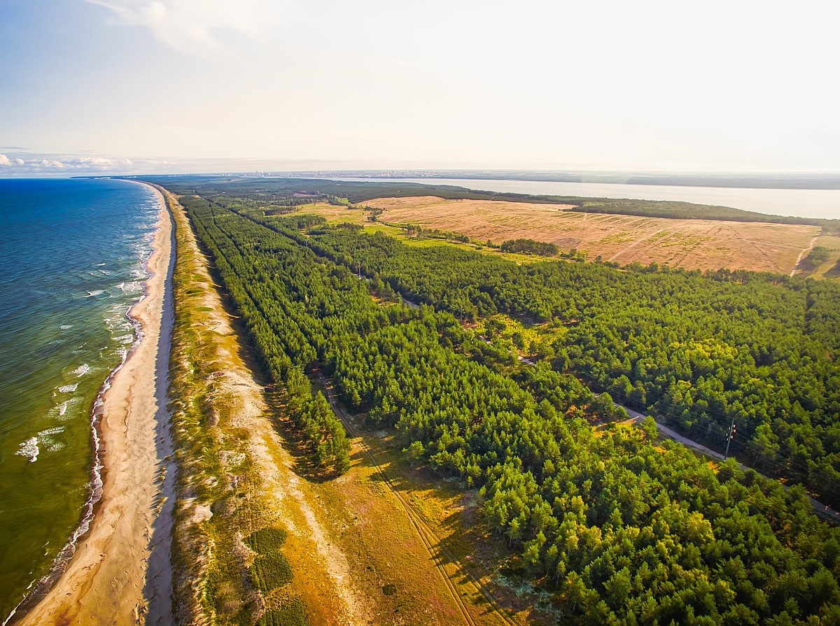Фото Загадочная Куршская коса с сертифицированным гидом