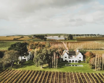 Долина Элджин: винодельни и невероятные виды