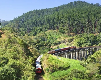 Поездка на поезде, визит на чайную фабрику