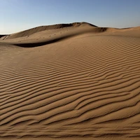 Фото отзыва 1: экскурсия "Экстремальное сафари и уютный вечер в Аравийской пустыне"