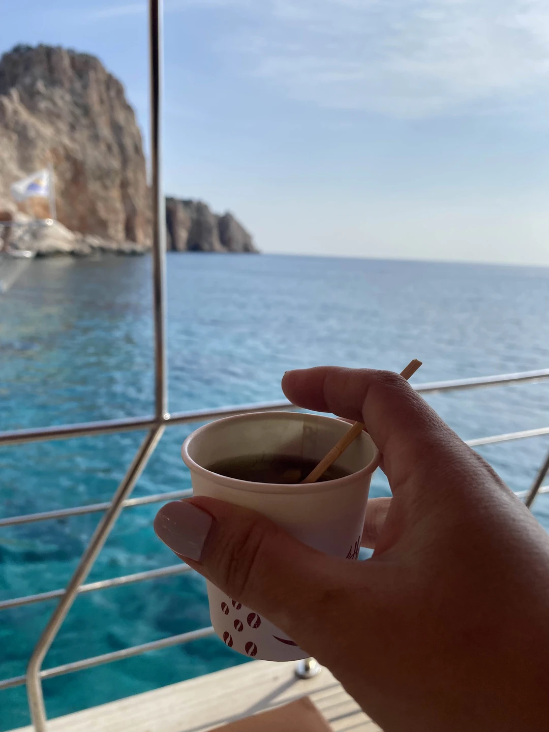 Экскурсия прекрасна! Трансфер вовремя на комфортабельном автобусе. Быстрая посадка на корабли, 2 остановки на красивейших пляжах