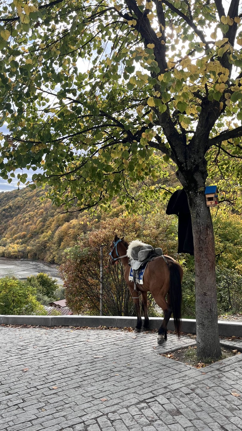 Групповая поездка из Тбилиси - в Казбеги и Гудаури (Ирина)