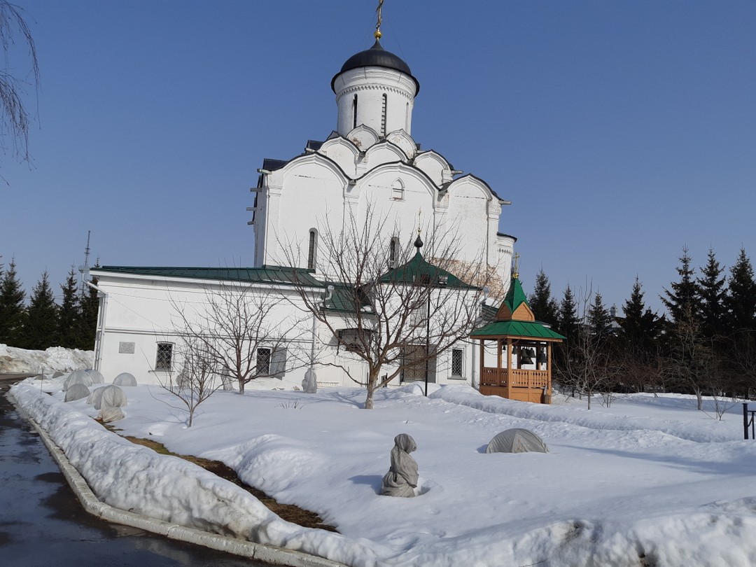 Нетипичный Владимир (Наталья)