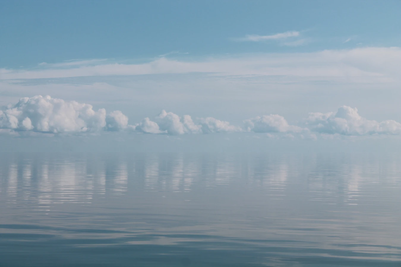 Куршская коса + Зеленоградск, Светлогорск и Янтарный