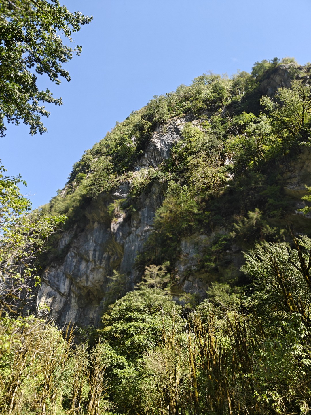 Необыкновенная Абхазия - в индивидуальном формате из Сочи (Александр)