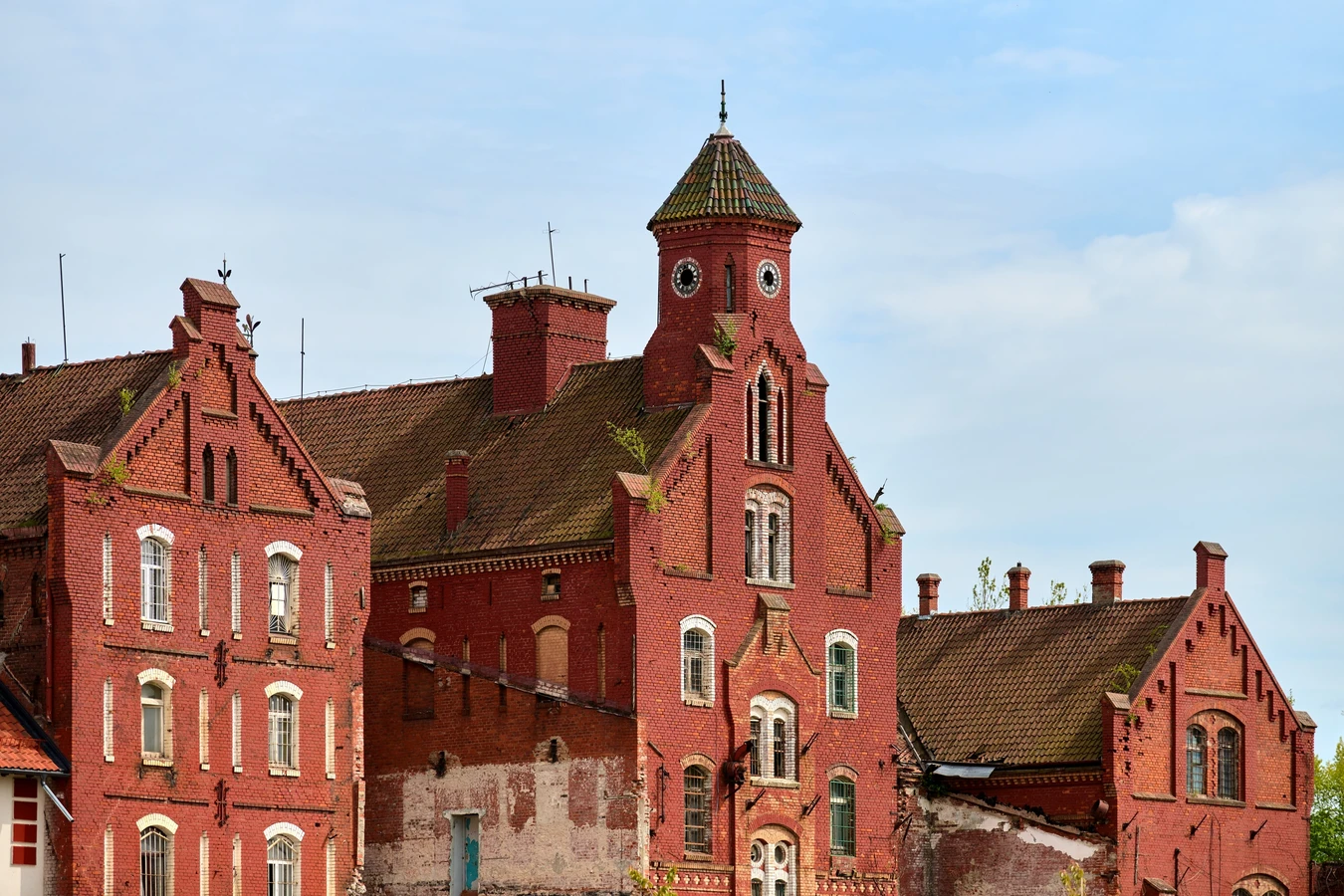 В тени рыцарских замков — поездка из Калининграда