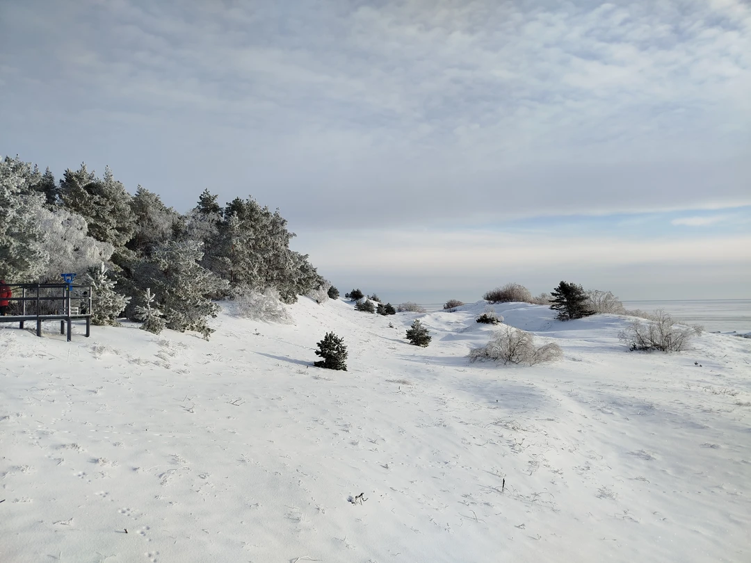 Балтийская Ривьера: Светлогорск, Зеленоградск и Куршская коса (Алексей)