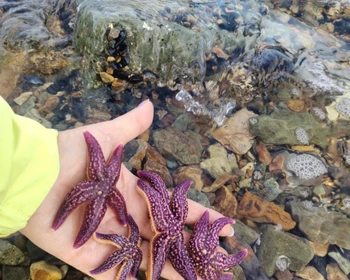 От шума водопадов до безмолвия бухт и пляжей Хасанского района