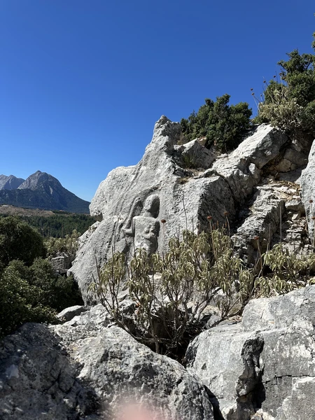 Все очень понравилось! спасибо за прекрасную экскурсию 🙏🏻