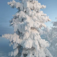Фото отзыва 1: экскурсия "Сопка Мишукова — к лучшим видам на Мурманск"