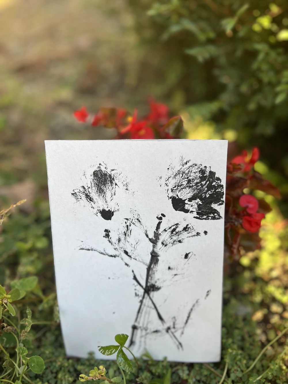 Мастер-класс по монопечати растений в Сочи (7/18)