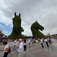 reviews img