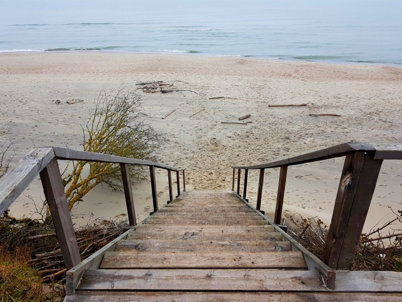 Виды История и легенды Куршской косы с гидом-писателем (из Зеленоградска)