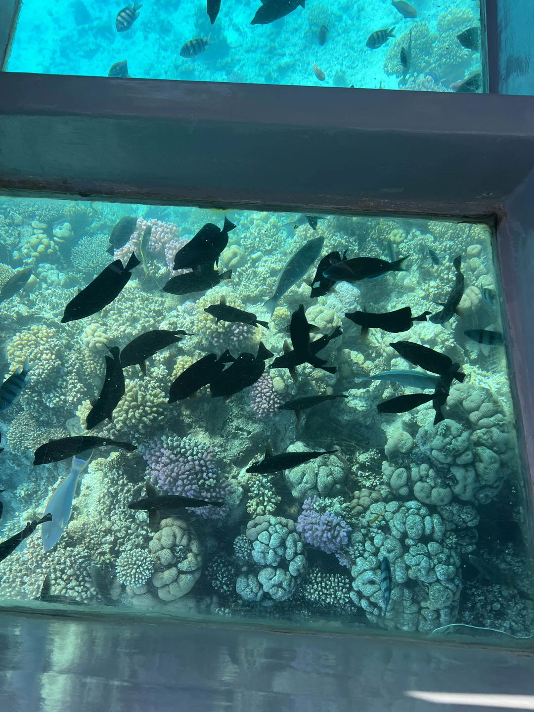 Хорошая экскурсия, неторопливо, расслабленно, как раз то что нужно на отдыхе, сначала приехали покататься на лодке