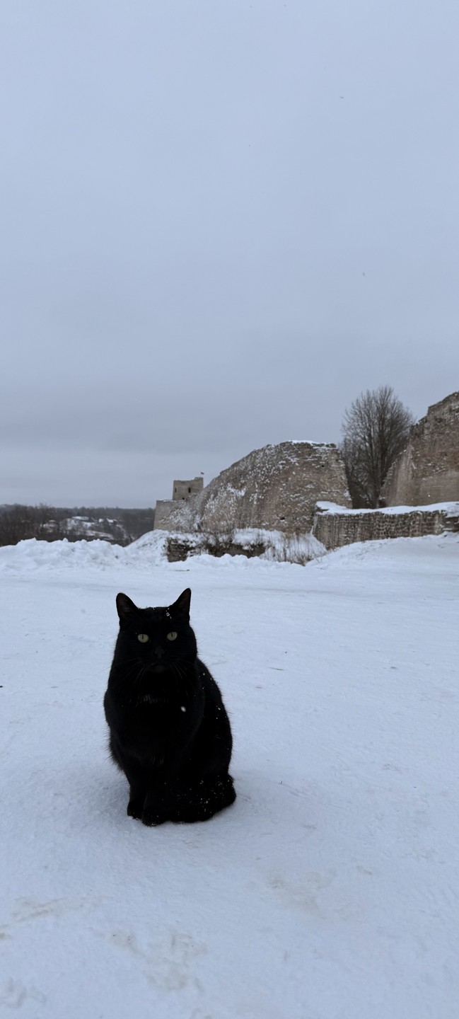 Изборск - обязательное место для посещения для гостей Пскова. Здесь прекрасная природа и отлично сохранившееся крепость