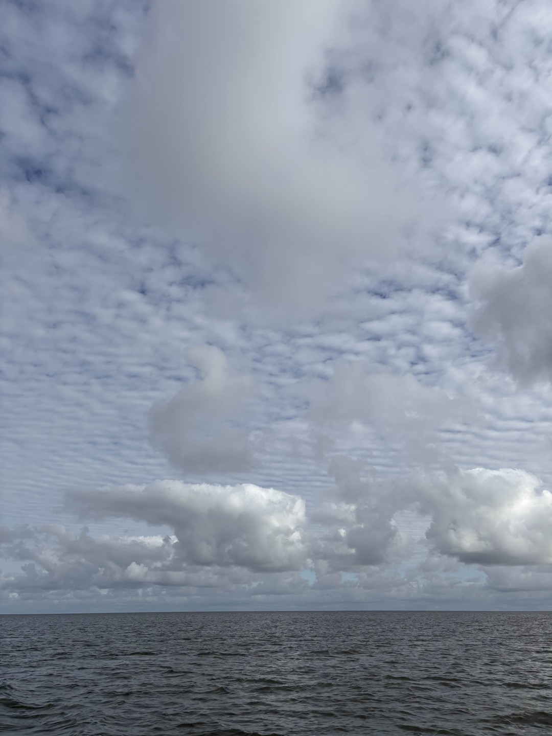 Приятный и интересный гид Кирилл. Рассказал много интересного о местах, которые посещали