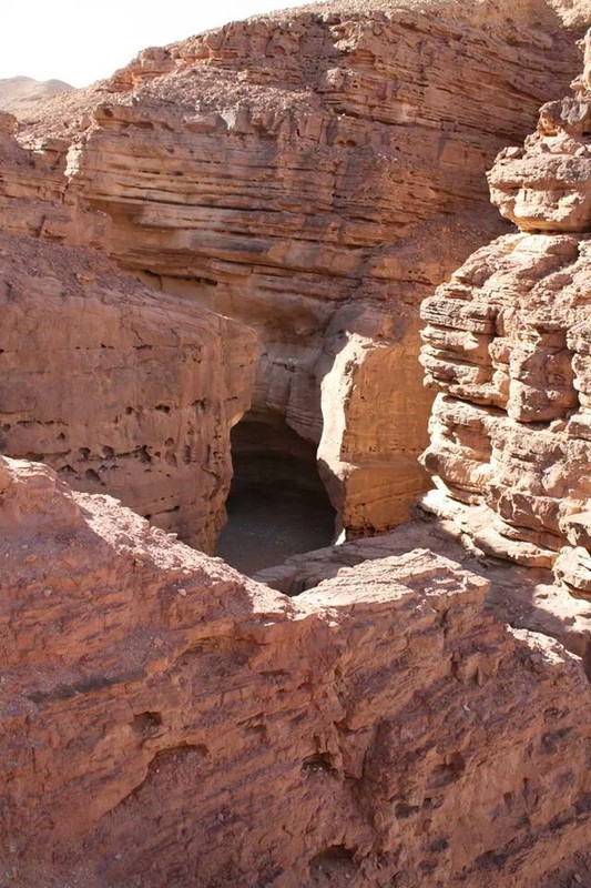 Эйлатское сафари