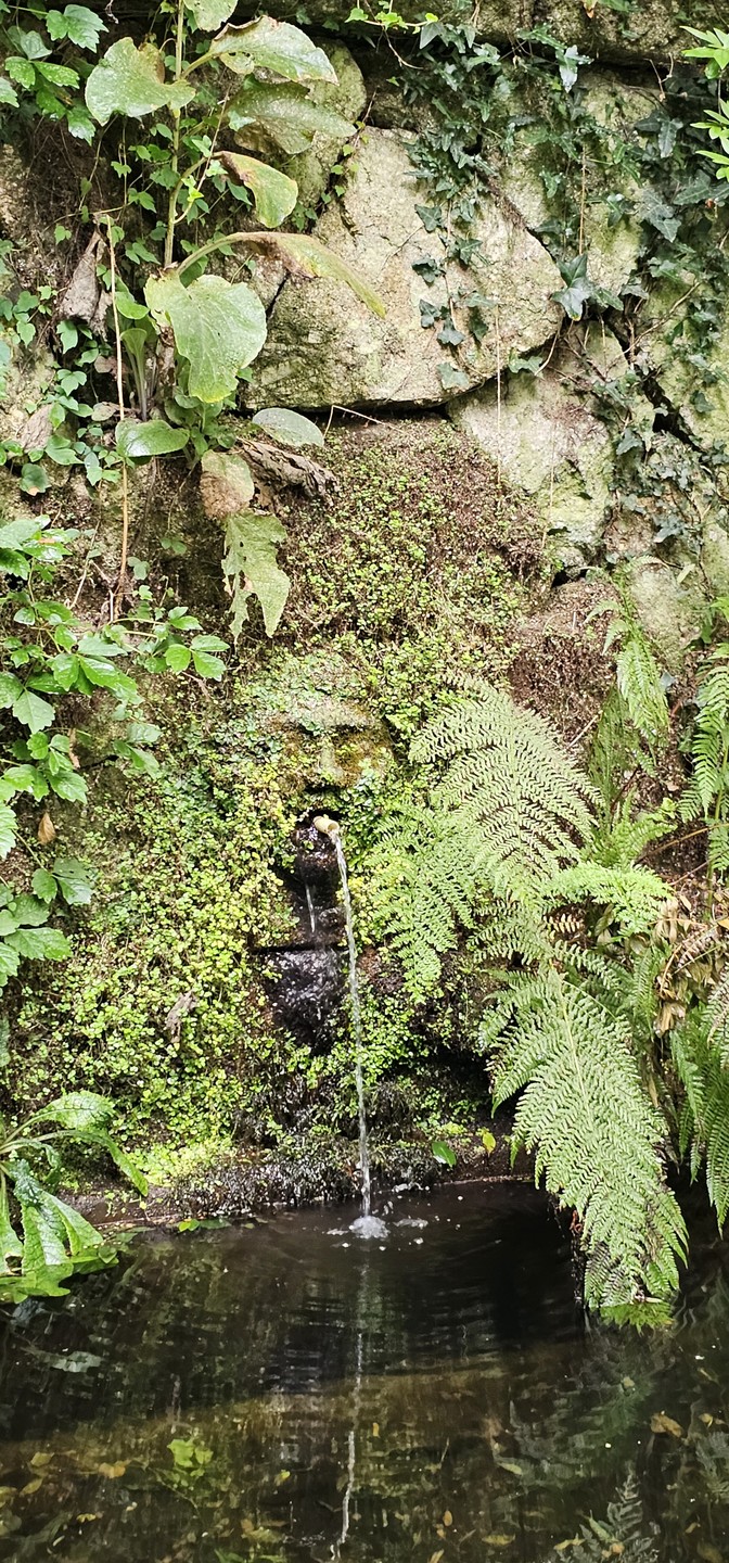 Очень понравилось! Гид умничка! Интересно и много рассказывал. Рекомендую.