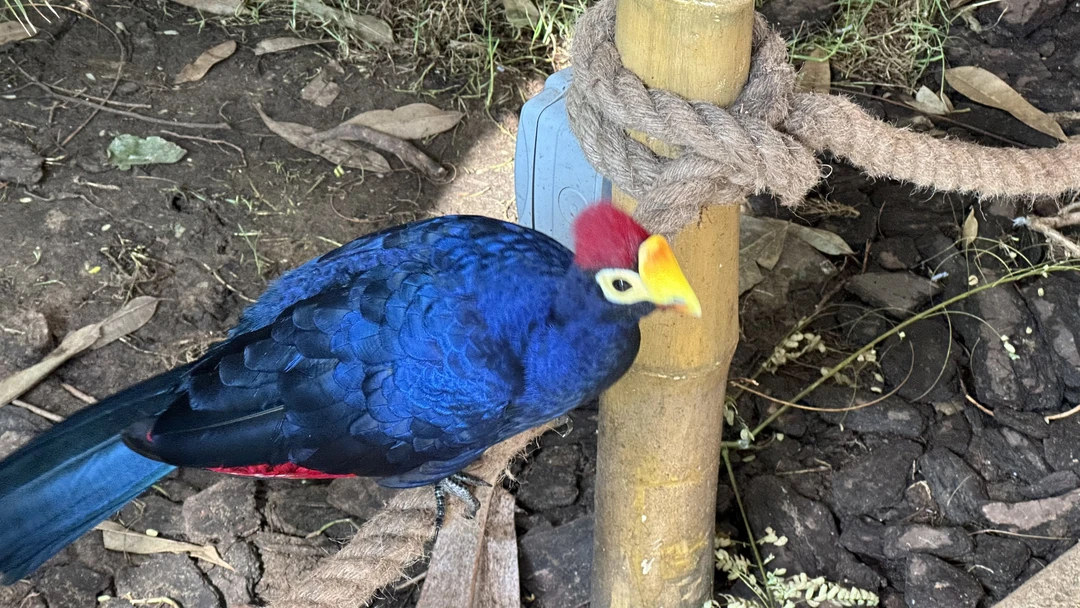 Брали на 3-х человек данную экскурсию. Экскурсию проводил гид=водитель Фируз на новом автомобиле Киа Карнивал. Забрал