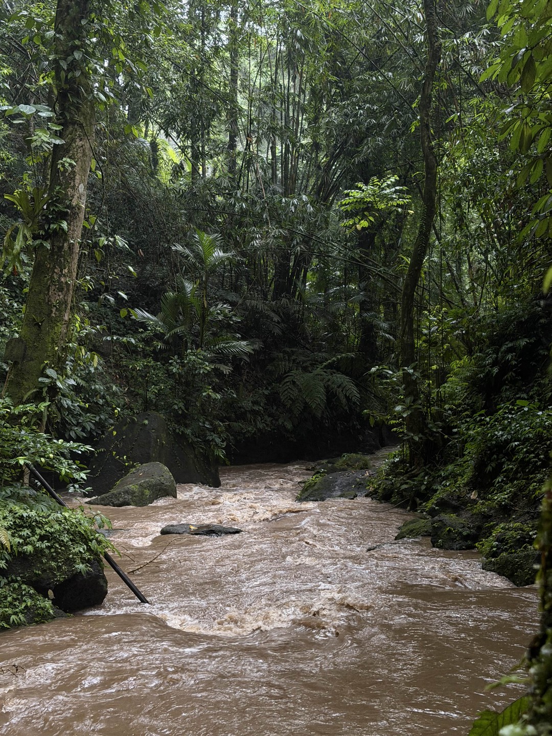 Это лучшая экскурсия, на которой были я и мой муж! Ваян – позитивный, доброжелательный и очень