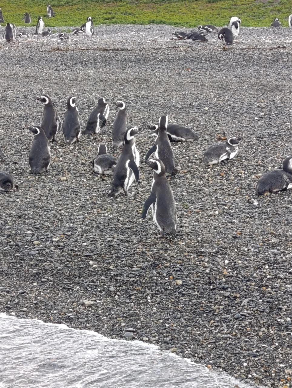 Интересная масштабная экскурсия, организованная и проведенная Викторией, позволяет с разных сторон познакомиться с природой и историей Огненной Земли.
