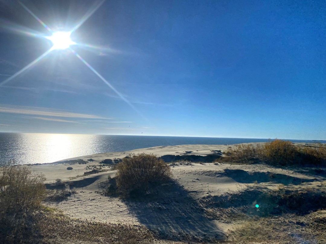 Комфортная поездка на Куршскую косу (Вероника)