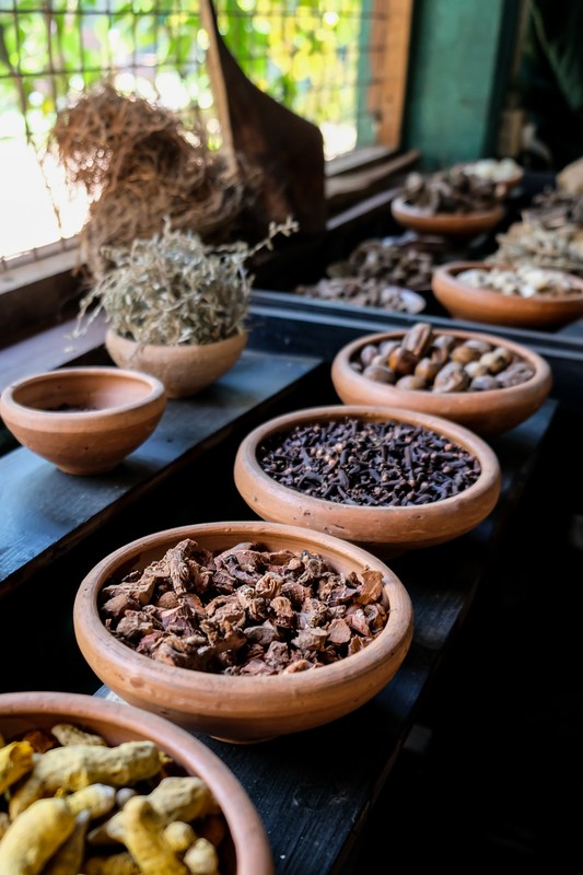 Исследуем Шри-Ланку: джип-сафари, чайная плантация и треккинг к подножию Малого пика Адама