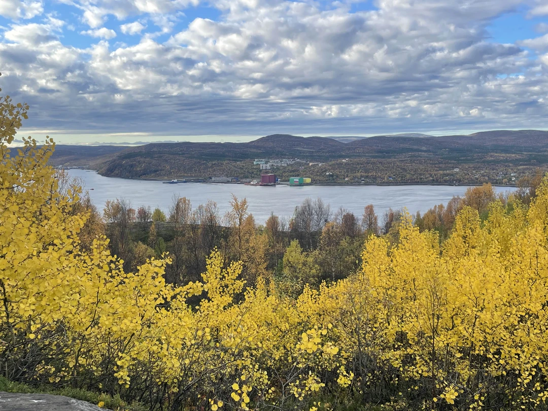 Были на обзорной экскурсии с Александром, все прошло замечательно, достаточно обширная экскурсия, помимо этого понравилось то