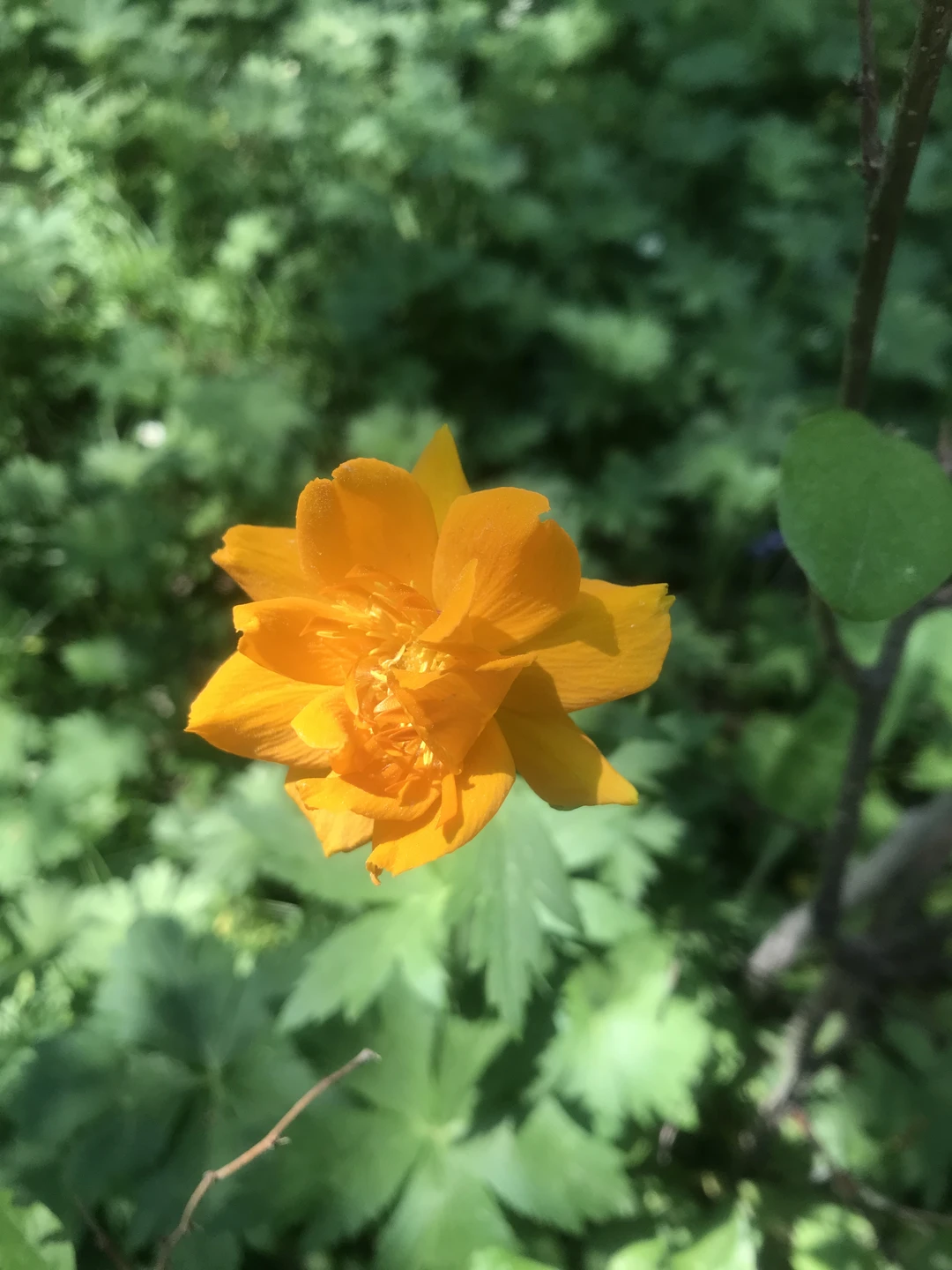 Добрый день друзья!! ☀️😊 Были потрясающие выходные на Байкале в Большом Голоустном👍🏻🥰