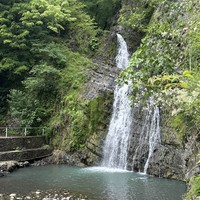 Фото отзыва 3: экскурсия "Впервые в Сочи"