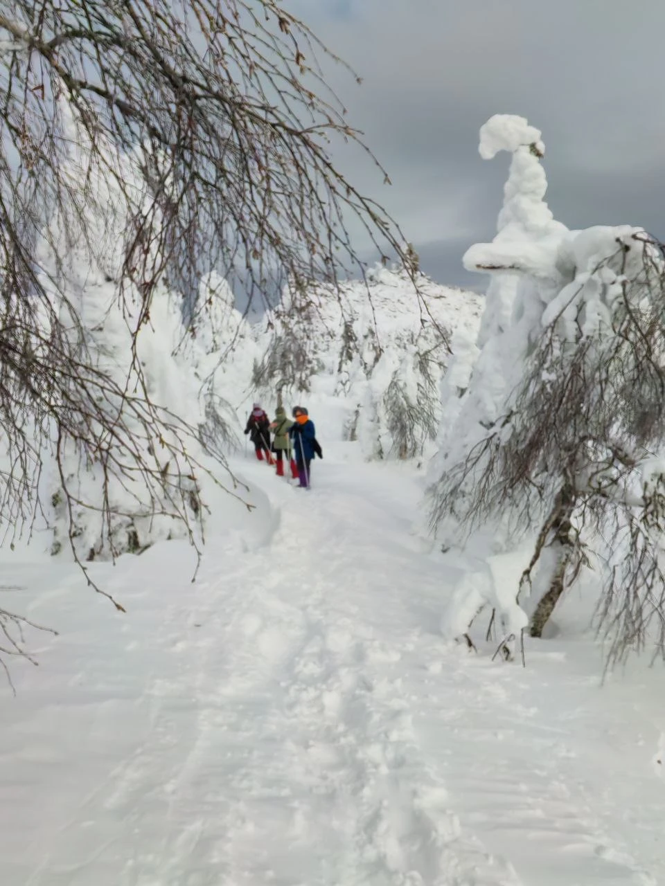 Сказать, что понравилось, — значит ничего не сказать. Я в восторге!