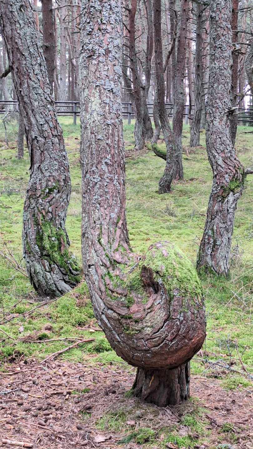 Это была именно комфортная, неспешная прогулка в небольшой группе с приятным доброжелательным гидом Валентиной. Побывали на