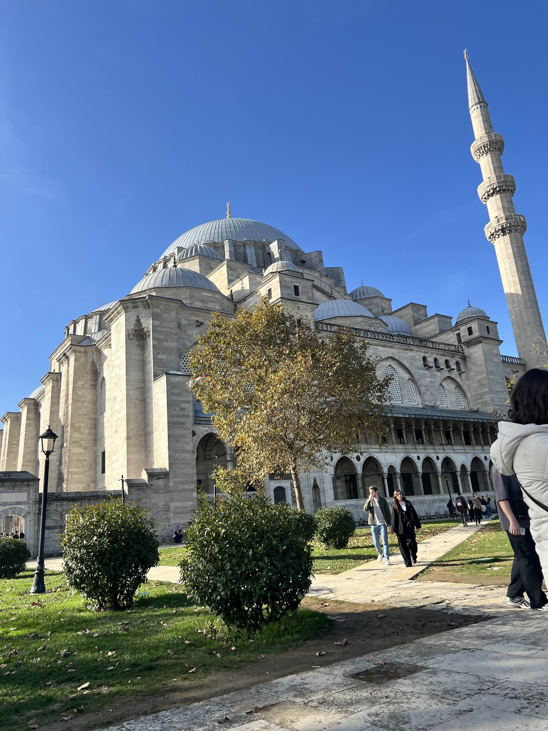 Это была потрясающая экскурсия! Мы провели весь день в невероятной компании в старом городе Стамбула. Было