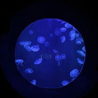 reviews img