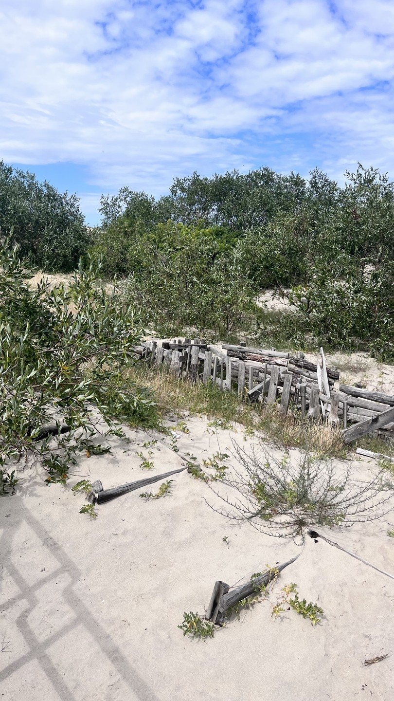 Творческая фотопоездка по Куршской косе (Елена)