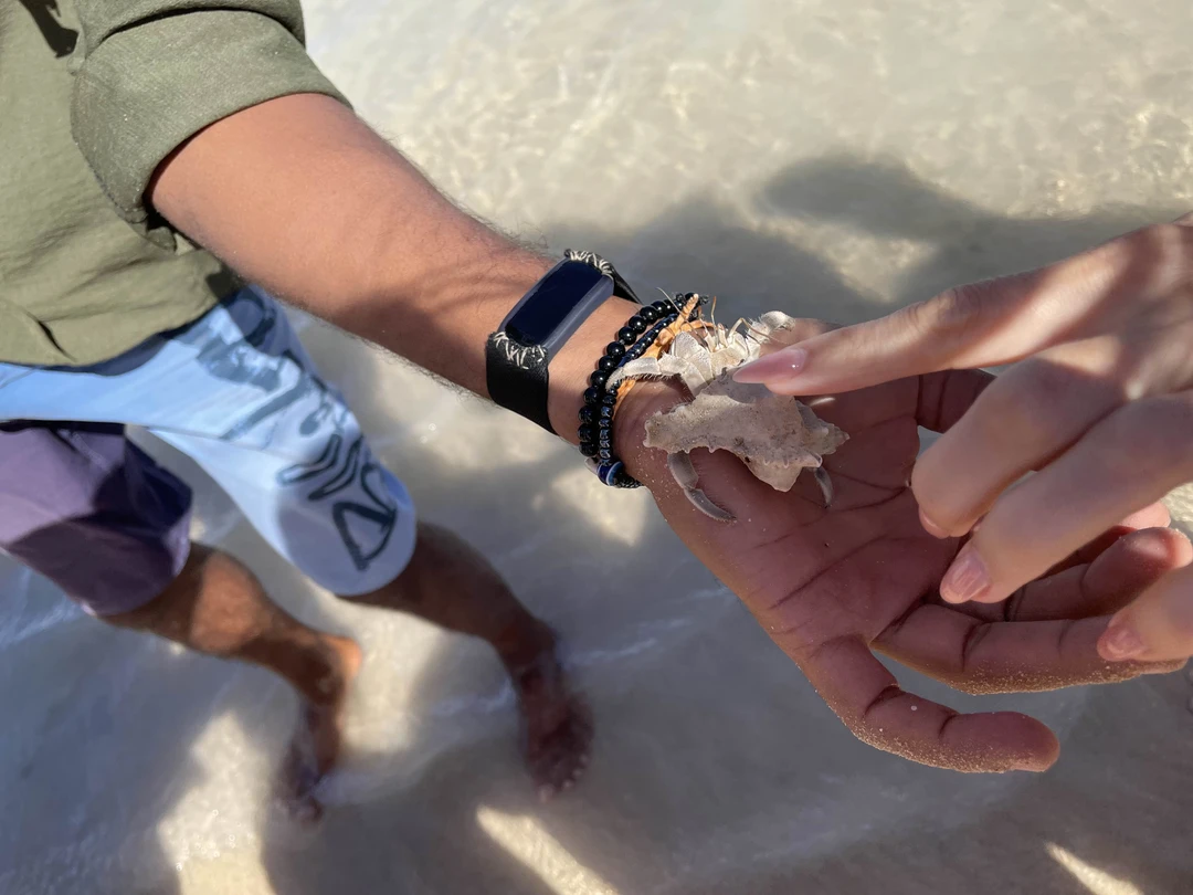 Прекрасная экскурсия по заповеднику!