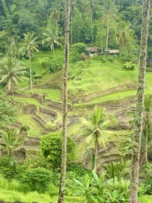 Фото отзыва 7: экскурсия ""