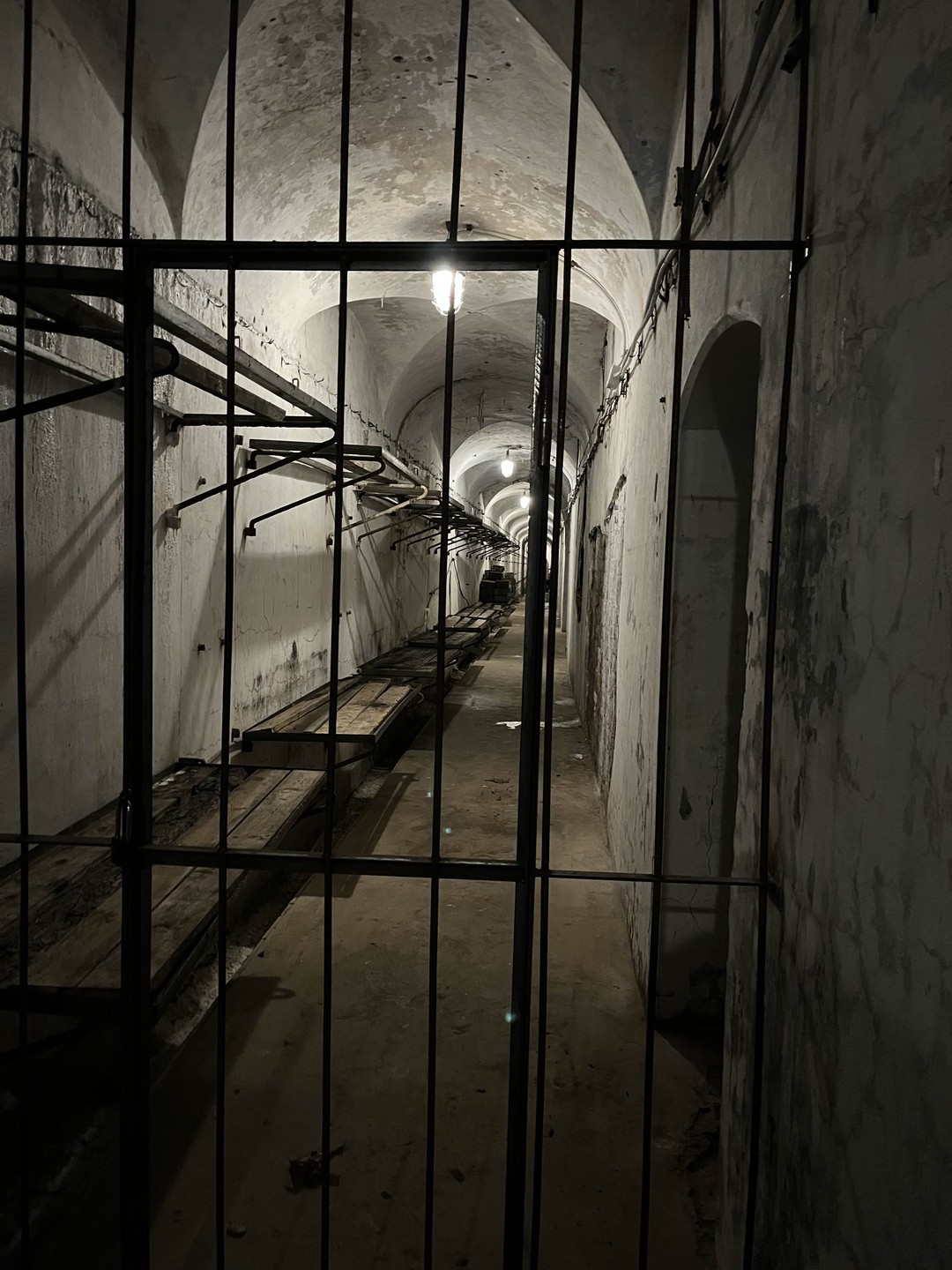 Посетили данную экскурсию 6 января 2026. Погода была -15. Никита грамотно построил маршрут и мы получили