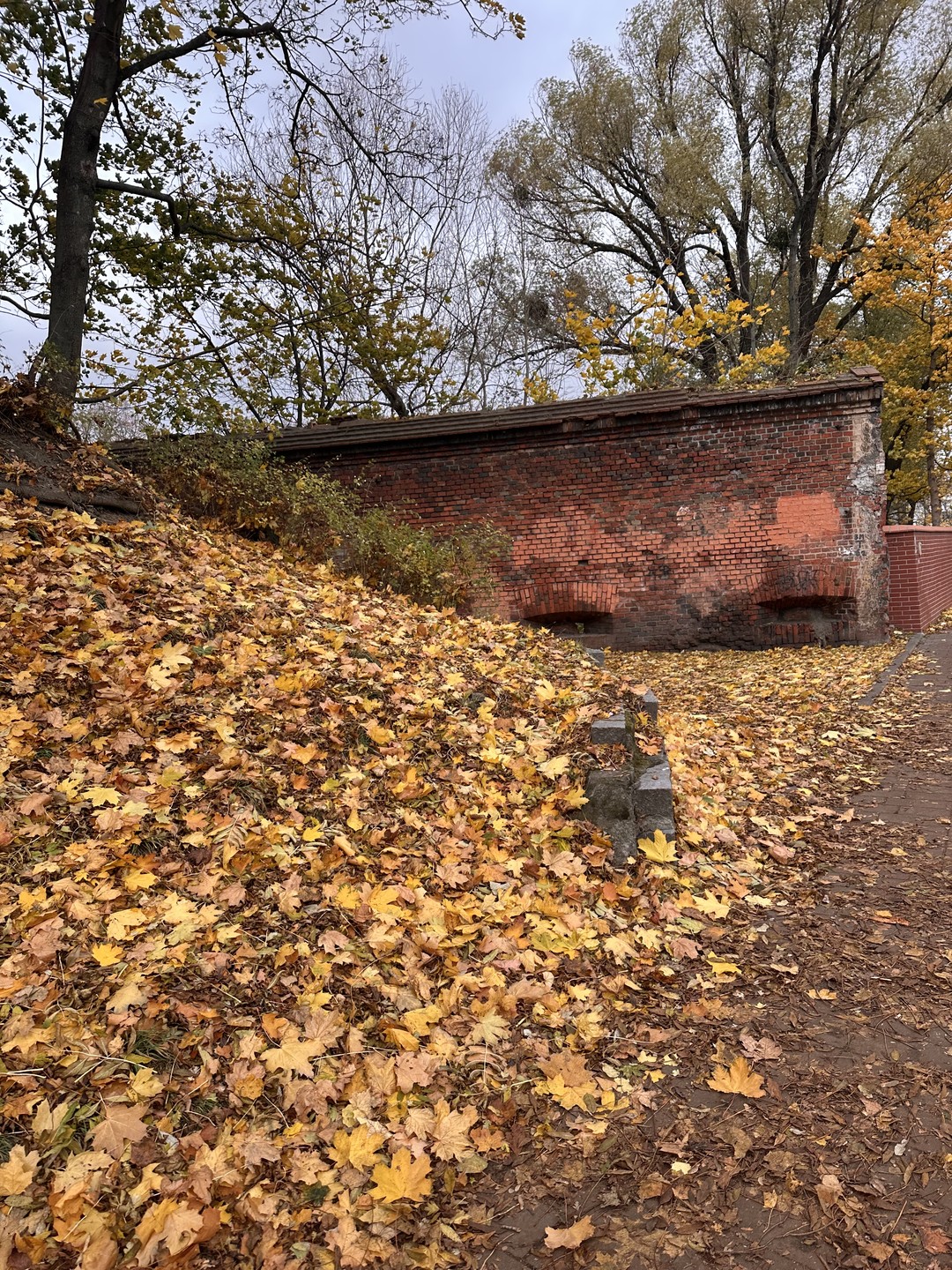 Алексей, отличный экскурсовод.