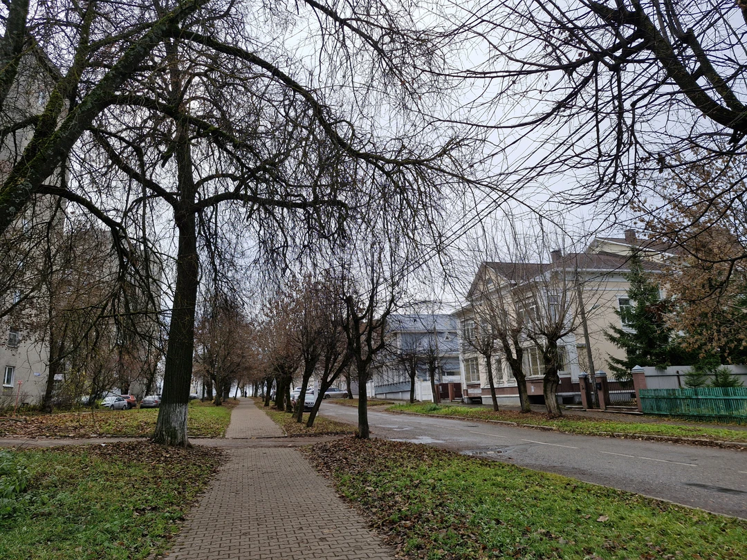 Чудесная экскурсия для любителей деревянного зодчества, да и в целом старинной архитектуры, истории и душевных прогулок