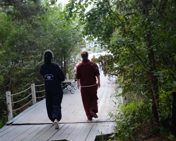 Свободный день и киновечер под звёздами