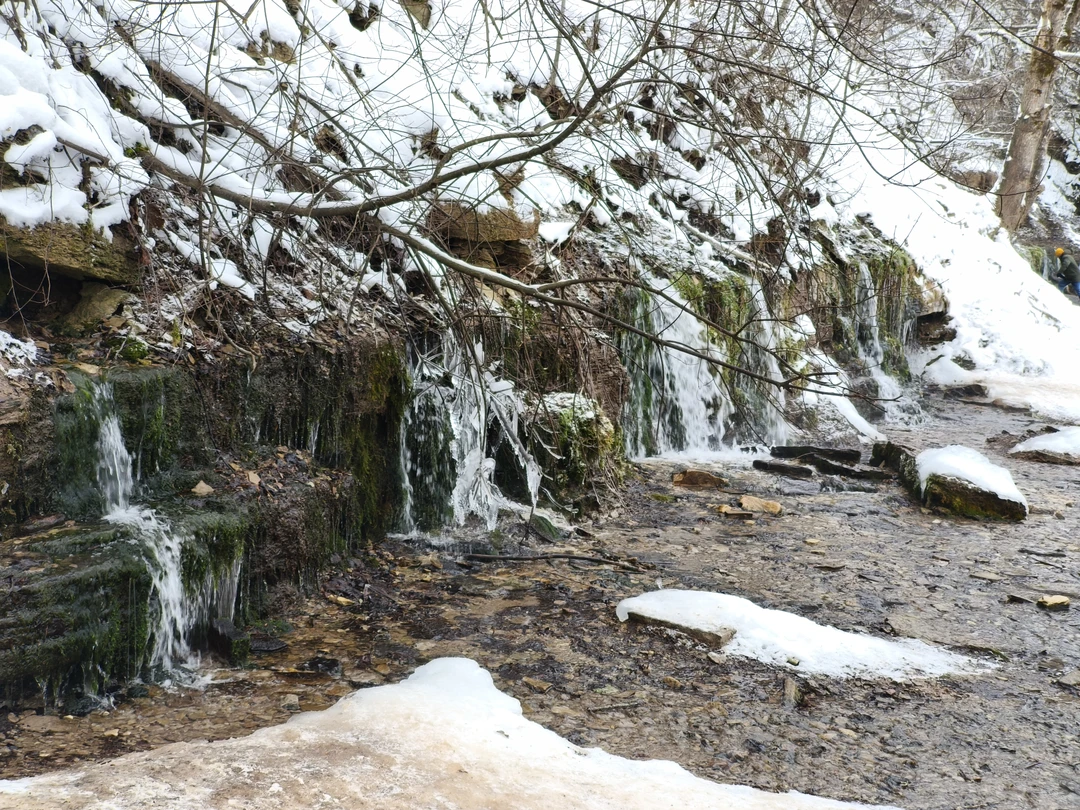 Доброго дня, делюсь исключительно положительными впечатлениями об экскурсии Изборск-Печоры, рекомендую обращаться 😌