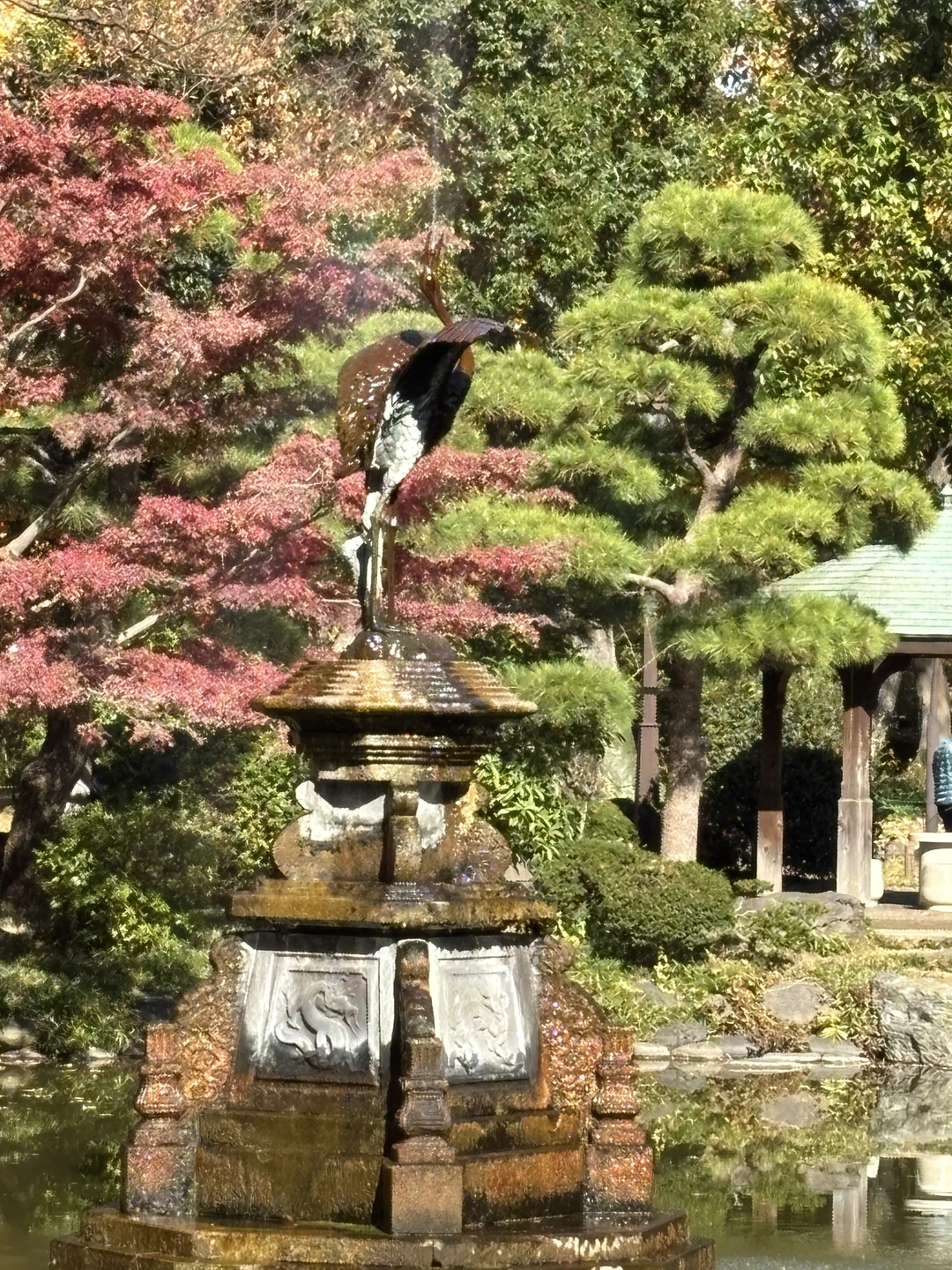 С удовольствием побывали на экскурсии с Аэлитой. Нам понравилась идея велосипедной прогулки по Токио. Самостоятельно мы